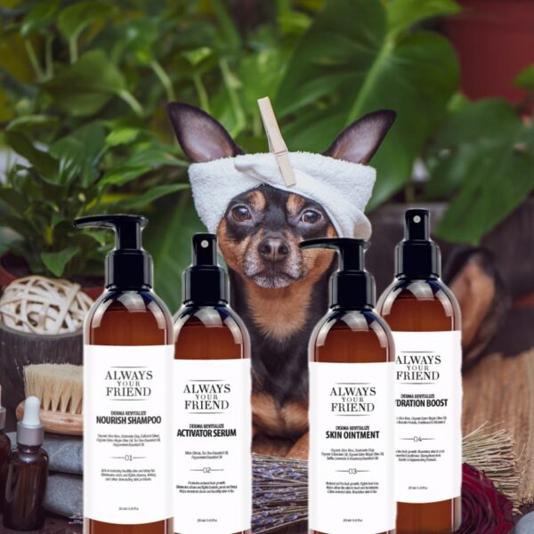 AYF – DERMA REVITALIZE POUCH - Image 2