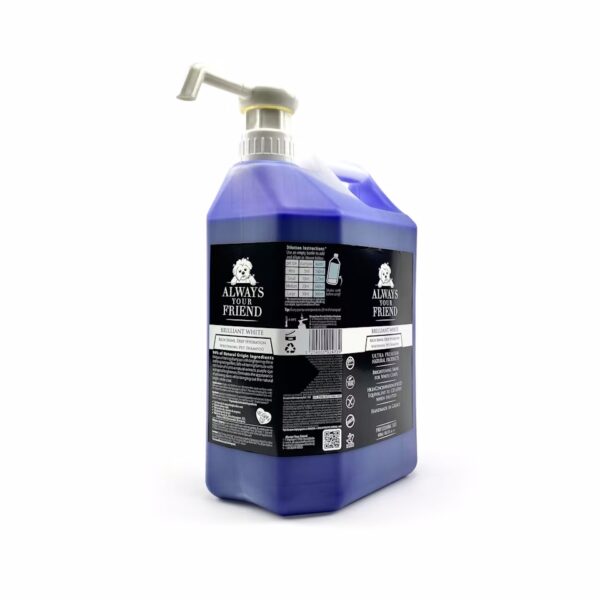 BRILLIANT WHITE WHITENING SHAMPOO - Image 4