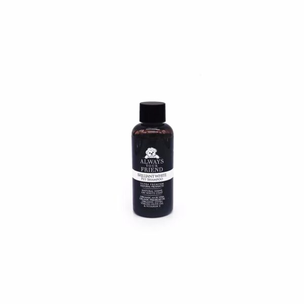 BRILLIANT WHITE WHITENING SHAMPOO - Image 3