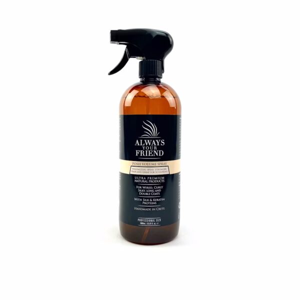 POSH VOLUME RICH HAIR SPRAY - Image 2