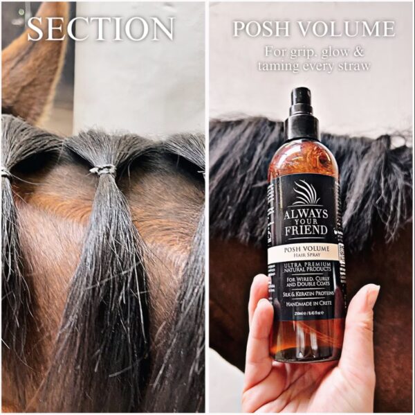 POSH VOLUME RICH HAIR SPRAY - Image 3