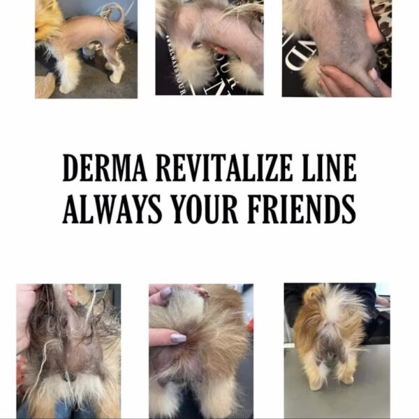 DERMA REVITALIZE NOURISH SHAMPOO - Image 4