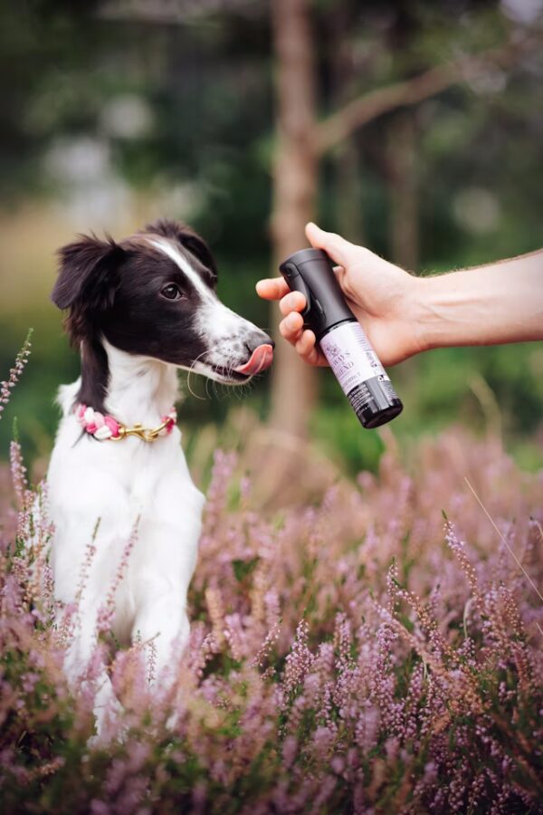 INFINITY PET PERFUME - Image 3