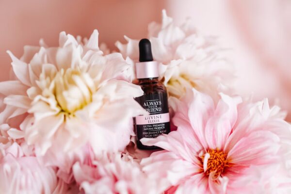 DIVINE ELIXIR - Image 3