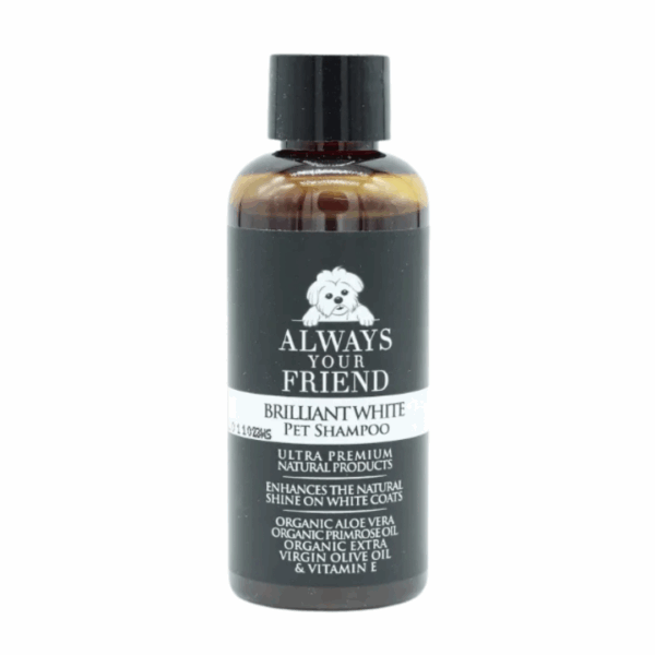 BRILLIANT WHITE WHITENING SHAMPOO – TRAVEL