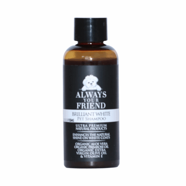 BRILLIANT WHITE WHITENING SHAMPOO – TRAVEL