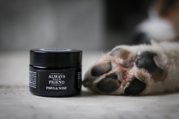 PAWS & NOSE BALM - Image 4