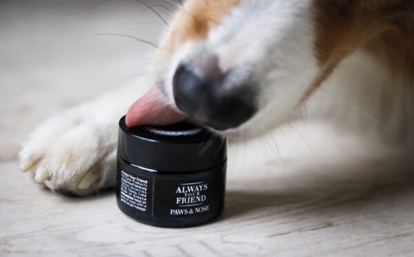PAWS & NOSE BALM - Image 2