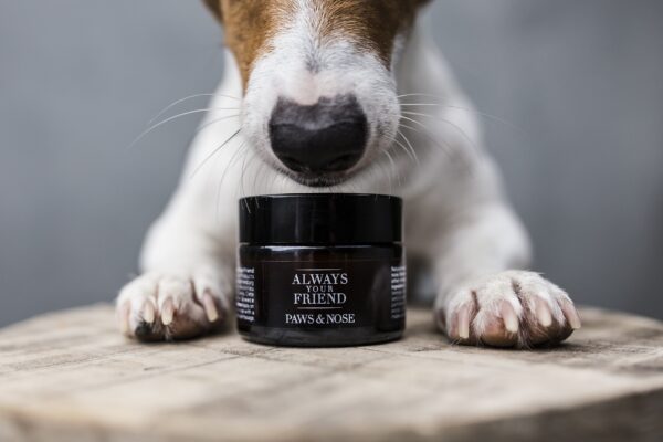 PAWS & NOSE BALM - Image 3