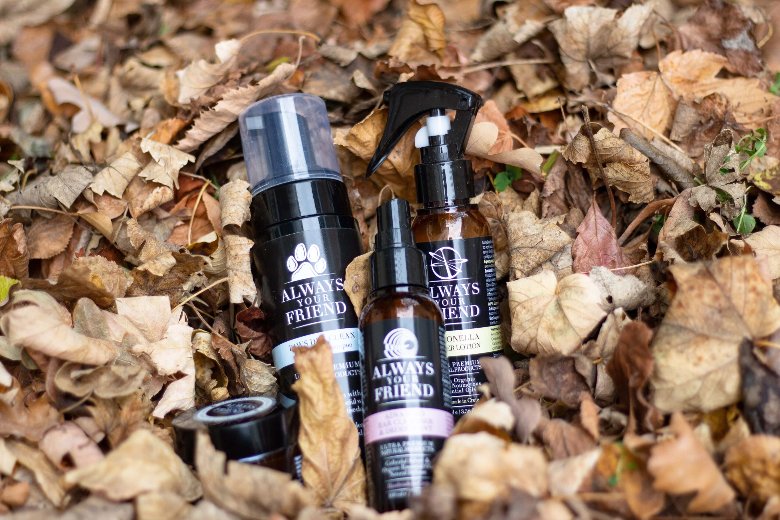 Jesenná rutina pre zdravú srsť a pokožku vášho miláčika